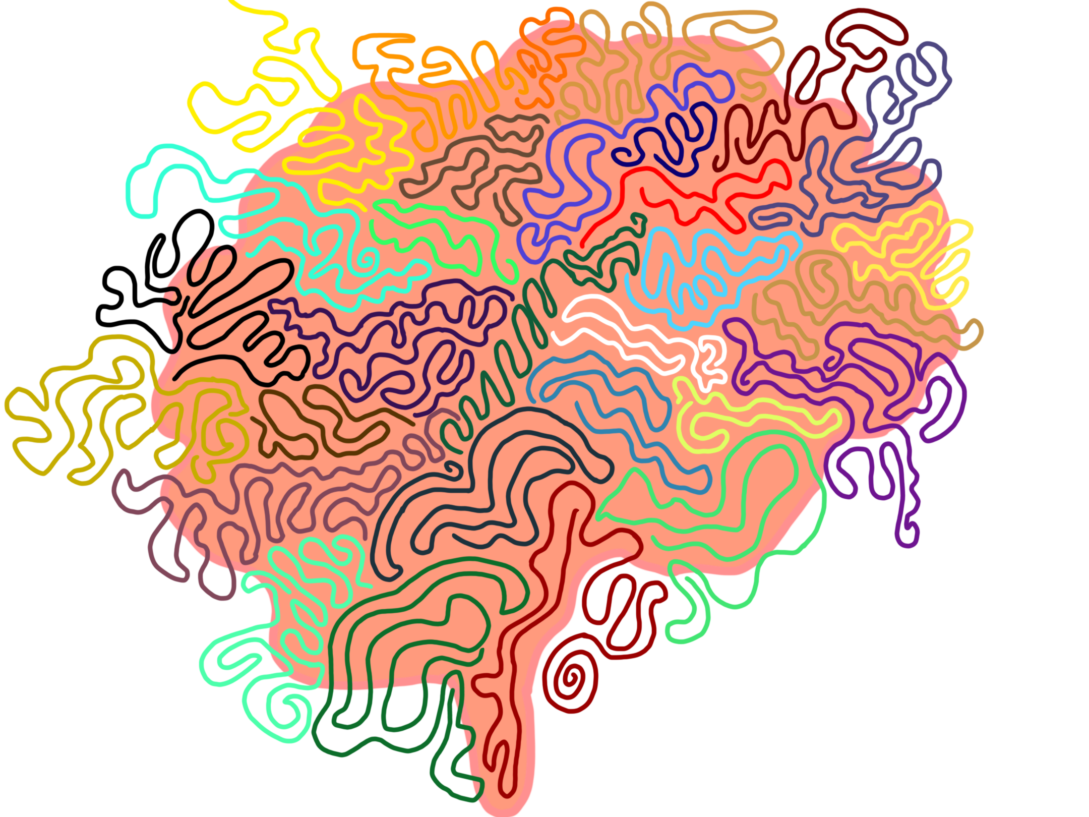 A drawing of a brain with many squiggly and colorful lines all throughout it. Some of the lines even stretch outside of the brain.